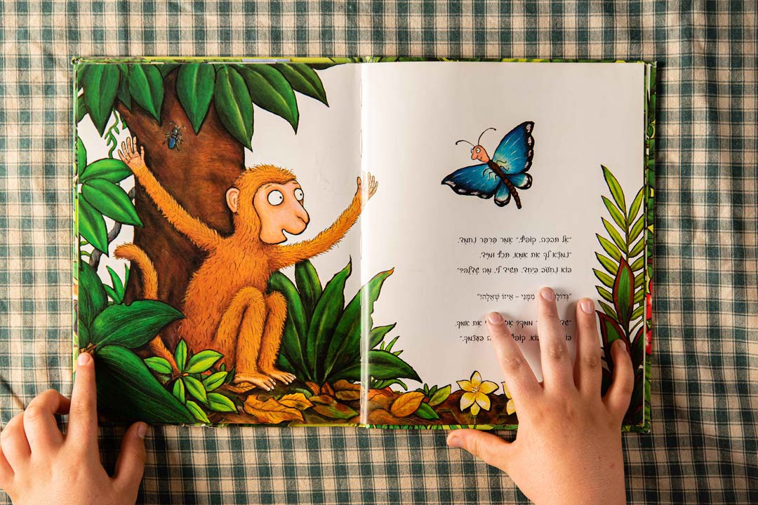 הספר "לקוף יש בעיה" פתוח על השולחן כשילד מחזיק אותו פתוח. בדף יש את הקוף מדבר עם פרפר